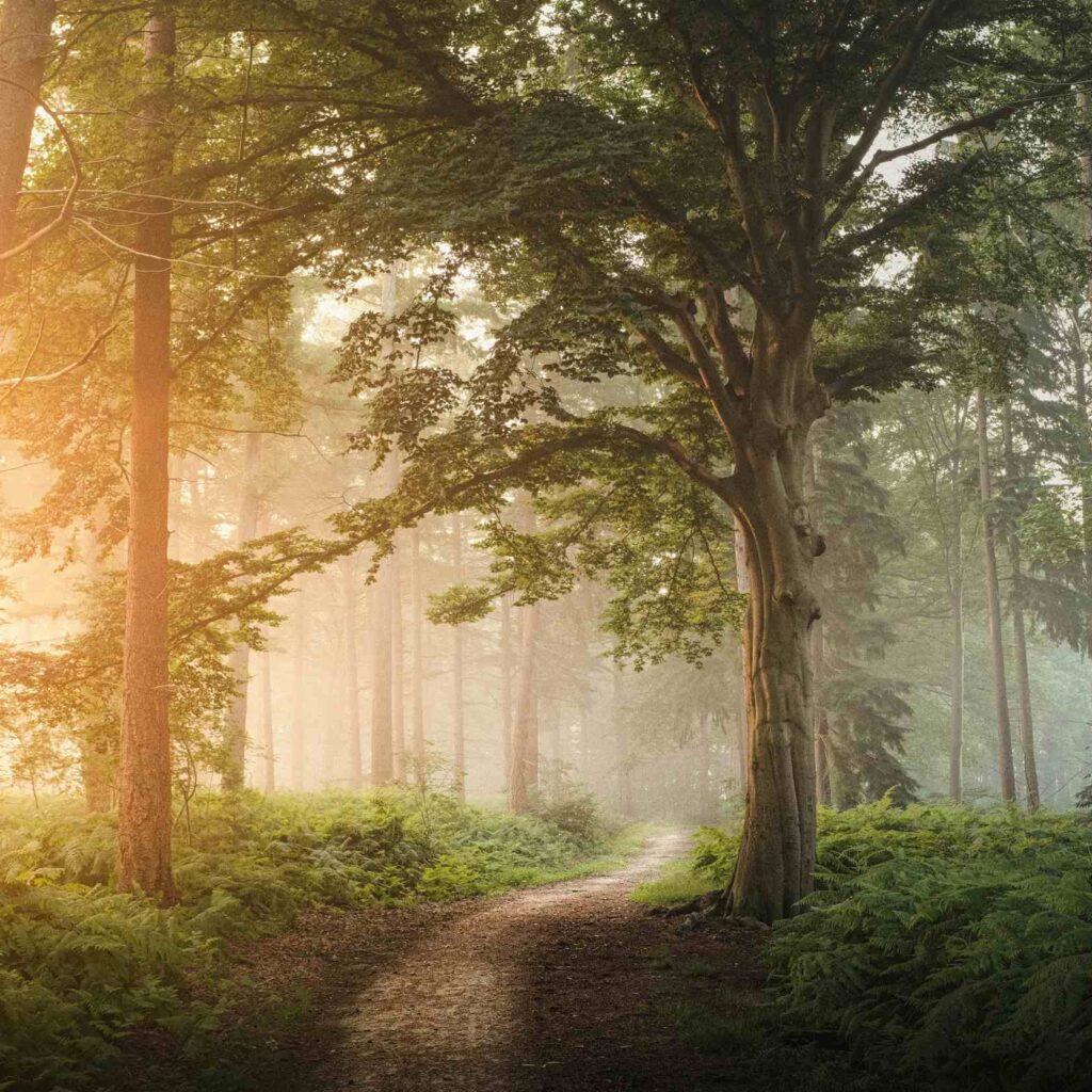 Kontakt Heilpraktikerin Bargteheide